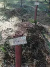 Захоронение ID 611112
