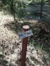 Захоронение ID 611115