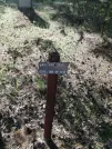 Захоронение ID 611116