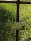 Захоронение ID 621138