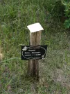 Захоронение ID 621803