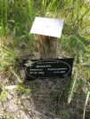 Захоронение ID 621804
