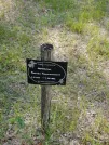 Захоронение ID 621808