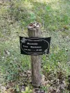 Захоронение ID 621810