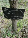 Захоронение ID 621811