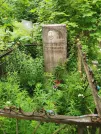 Захоронение ID 610681