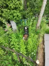 Захоронение ID 610713