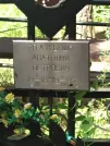 Захоронение ID 610975