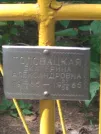 Захоронение ID 611137