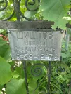 Захоронение ID 611307