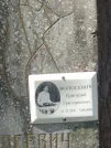 Захоронение ID 611529