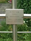 Захоронение ID 621154
