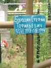 Захоронение ID 621158