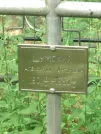 Захоронение ID 621183