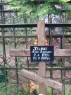 Захоронение ID 621262
