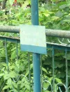 Захоронение ID 621716