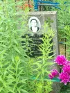 Захоронение ID 620696