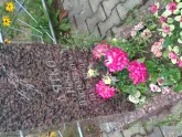 Захоронение ID 620606