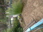 Захоронение ID 620605