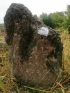 Захоронение ID 620618