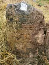Захоронение ID 620622