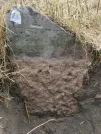 Захоронение ID 620680