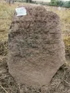 Захоронение ID 620719