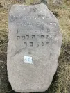 Захоронение ID 620723
