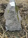 Захоронение ID 620751