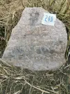 Захоронение ID 620955