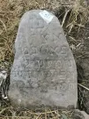 Захоронение ID 620959
