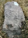 Захоронение ID 620985