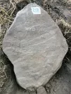 Захоронение ID 621006