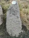 Захоронение ID 621010