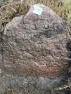 Захоронение ID 621038