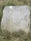 Захоронение ID 621095
