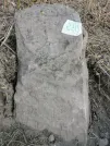Захоронение ID 621131