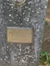 Захоронение ID 621815