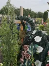 Захоронение ID 623803