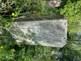 Захоронение ID 610584