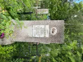 Захоронение ID 610539