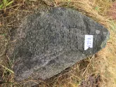 Захоронение ID 620608