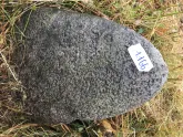 Захоронение ID 620610