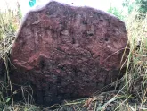 Захоронение ID 620616