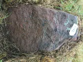 Захоронение ID 620621