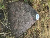 Захоронение ID 620639