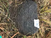 Захоронение ID 620642