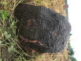 Захоронение ID 620646