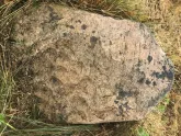 Захоронение ID 620654
