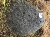 Захоронение ID 620661